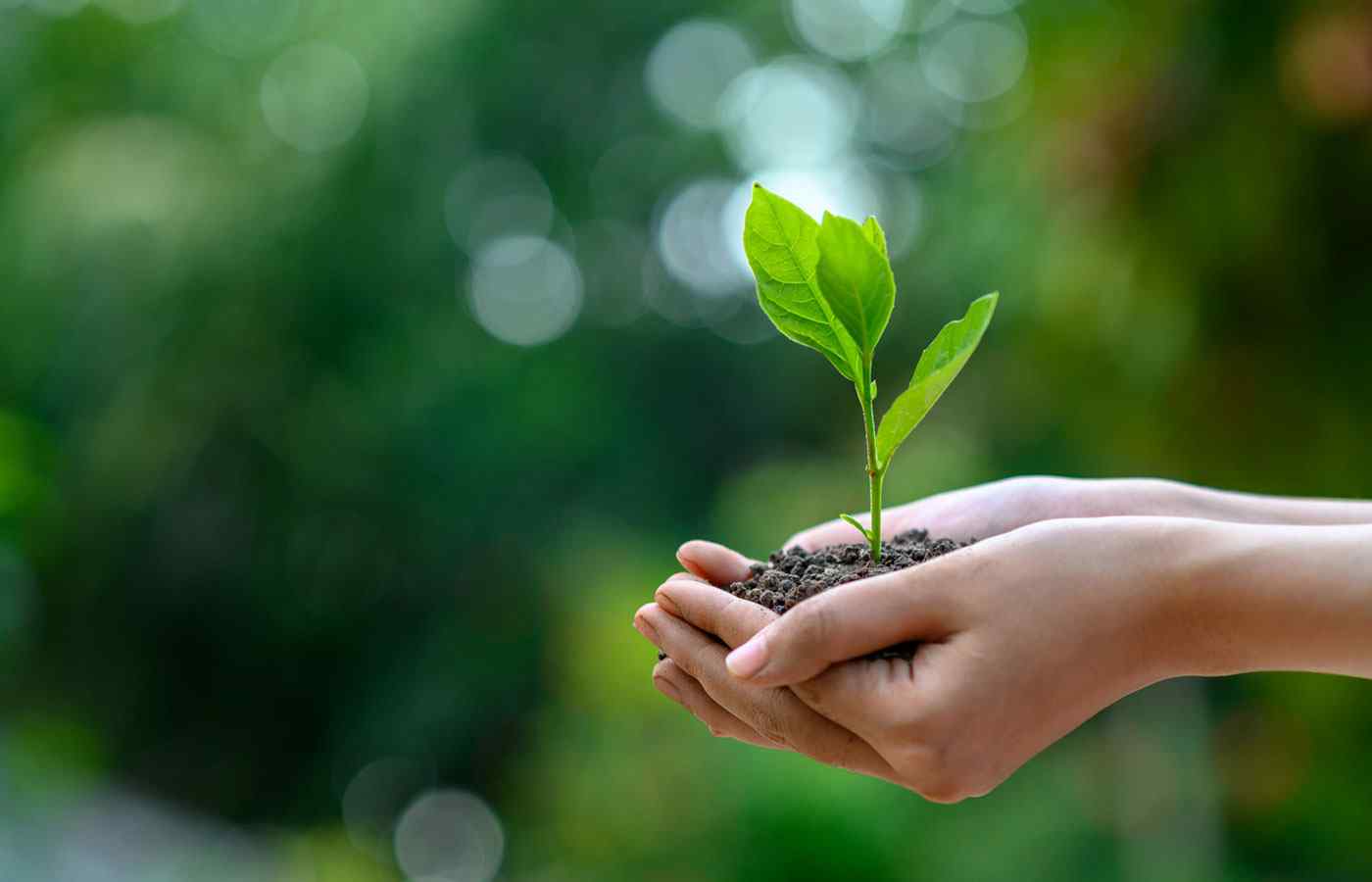 environment providing growth opportunities for portfolios of investors
