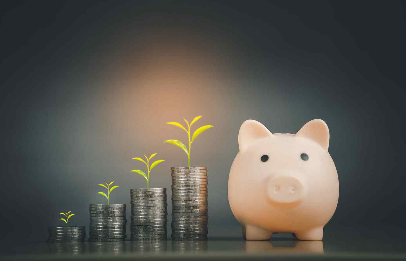 growing capital from a piggy bank