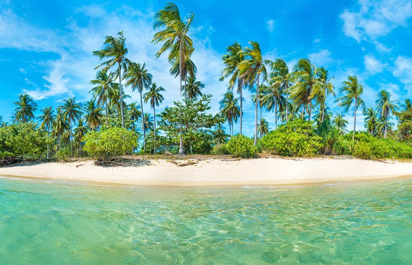 A beautiful sandy beach with tropical palm trees