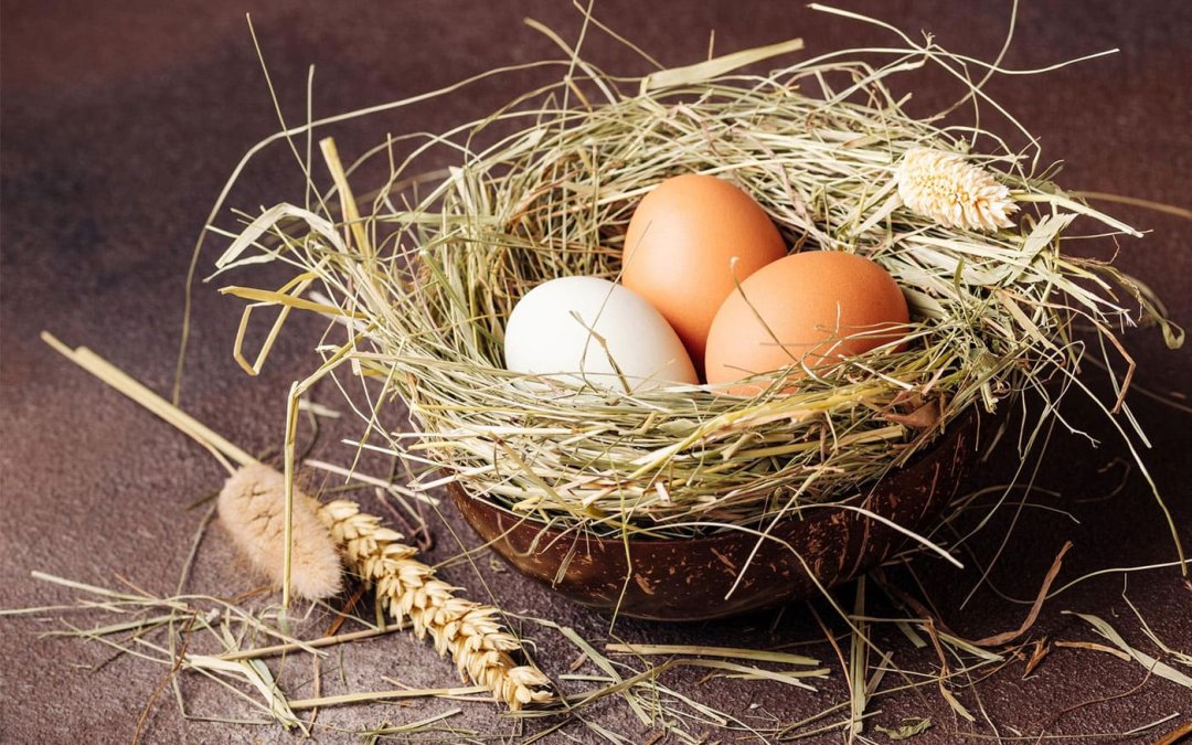 Lloyds Dividend Forecast: 2023, 2024, 2025, 2026, 2027, 2028 Analyst Predictions